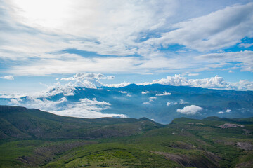 landscape in the summer