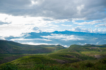 Fototapeta premium landscape in the summer