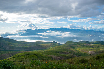 landscape in the summer