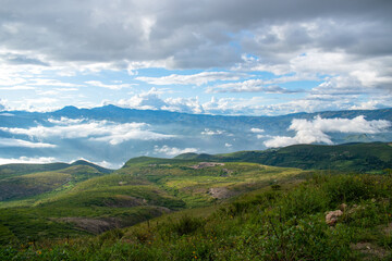 landscape in the summer