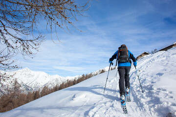 Fototapeta na wymiar Exploring Winter Wonderland on Skis