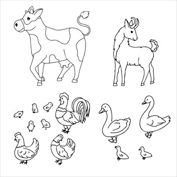 Spotted cow, Gray goat, Rooster, Chicken, Chickens, Geese. Set of animals. Farm animals. Cattle breeding Vector illustration isolated on white background.