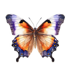 Watercolor Butterfly PNG Generative AI