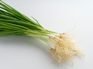 bunch of green onions
