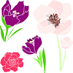 Set di fiori colorati, illustrazione vettoriale isolata