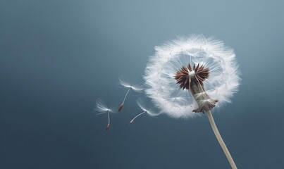  a dandelion blowing in the wind on a clear day.  generative ai