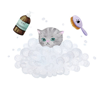 recommend clip art: Cute cat bathes in foam. Watercolor illustration on the theme of pet care, pet store products, shampoo for cats.
                    