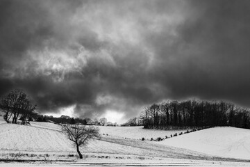 Winter landscape, with trees and hill covered by snow, under a moody, clouds sky