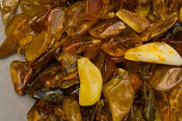 Natural, polished Baltic amber found on a beach in Kolobrzeg, Poland.