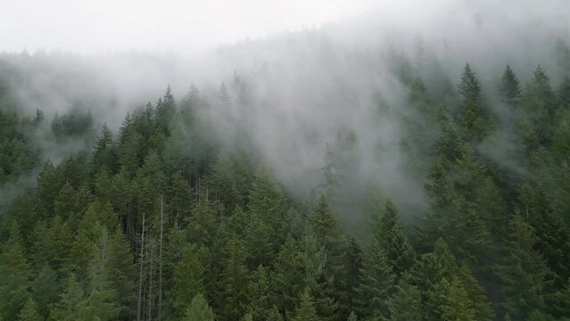 Aerial view of beautiful mountain landscape. Fog rises over the mountain slopes