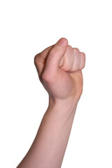 fist