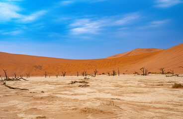Deadvlei in the Sossusvlei, Namibia Afrika