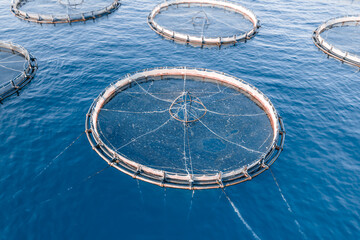 Fish cage and fish holding pen in open sea, aerial close-up shot