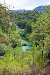 Beautiful landscape with green forest and turquoise river.