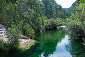  Peaceful landscape with river and green forest. Peralejos de las Truchas.