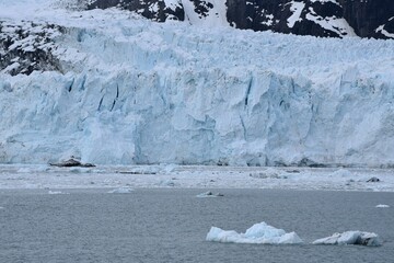 Ice floe in Glacier Bay Alaska
