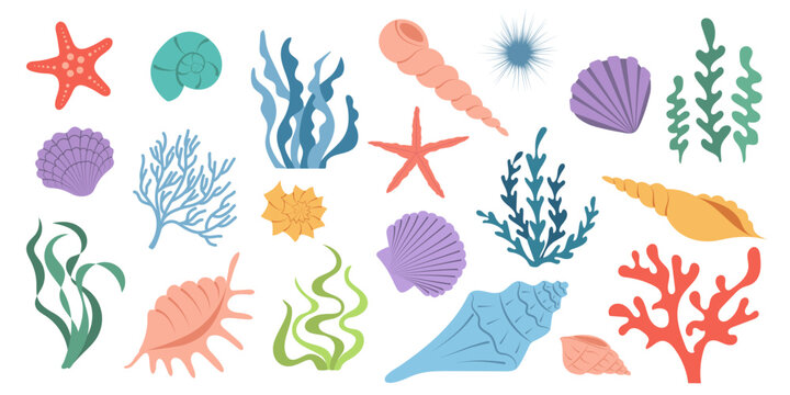 Collection of sea shells. Blue and pink cartoon shell. Summer set of underwater elements. Marine background