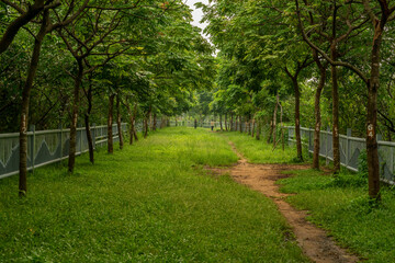 The path led by the fence is covered with numbered greenery