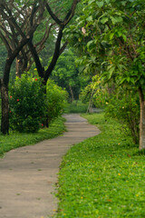 Fototapeta na wymiar A path in a green park led by shade
