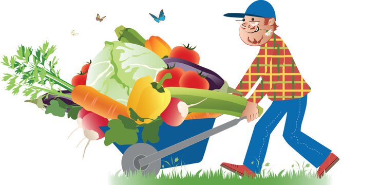 Vector cartoon of a happy farmer conveying a full wheelbarrow of vegetables