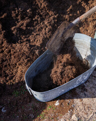 wheelbarrow with manure or chemical fertilizers to strengthen the soil of fertile layer on farm....