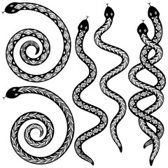 Set of editable vector snakes designs black and white