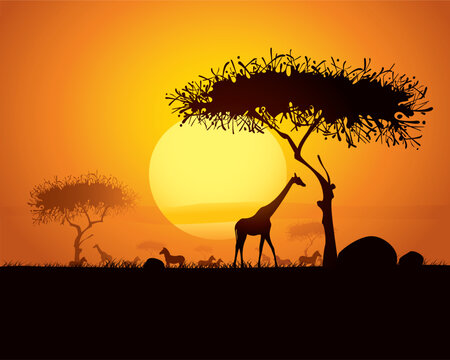 silhouette of animals and trees in africa sunset background.