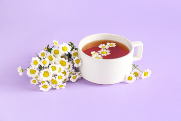 Cup of natural chamomile tea and flowers on lilac background
