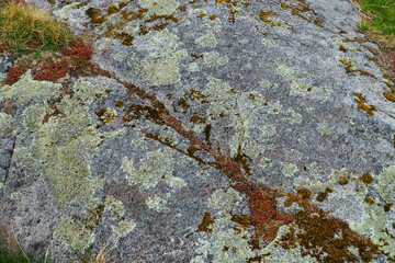 Obraz premium Moss-covered stone Top view