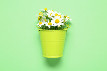 Small bucket with fresh chamomile flowers on green background © Pixel-Shot