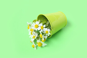Small bucket with fresh chamomile flowers on green background © Pixel-Shot