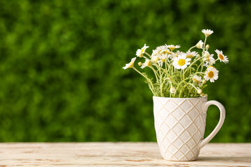 Cup with beautiful chamomile flowers on white wooden table outdoors