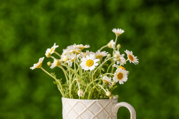 Cup with beautiful chamomile flowers outdoors