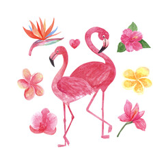 Tropical set with watercolor flamingo. Beautiful hand drawn illustrations