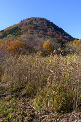 大沼公園から見た新湯富士