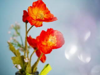 Obraz premium Red peony flowers, blue background. Selective focus. Soft dreamy look and mood. Bokeh blur. House decoration and gift.