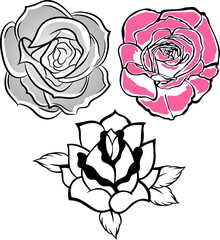 fancy rose illustration