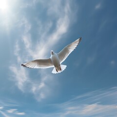 Obraz premium seagull fly against the blue sky with clouds. Sea bird gracefully fly in the air. Generative AI