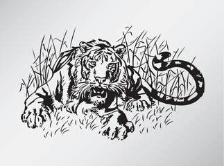 Black white vector illustration of tiger