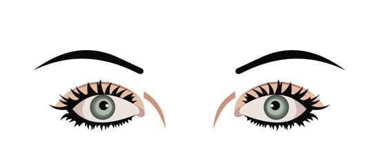 Realistic illustration of eyes are isolated on white background. Vector