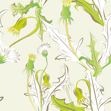 floral seamless pattern with dandelion flowers