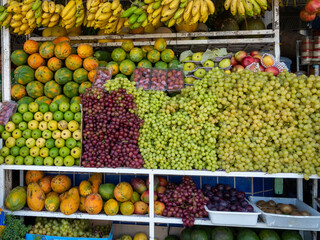 Northeastern Brazilian Fruits