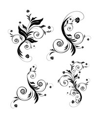 Fototapeta premium Vector decorative floral design elements isolated on a white background