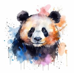 Panda portrait. watercolor illustration clipart
