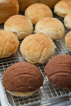 Cinnamon and Chocolate Conchas Bread