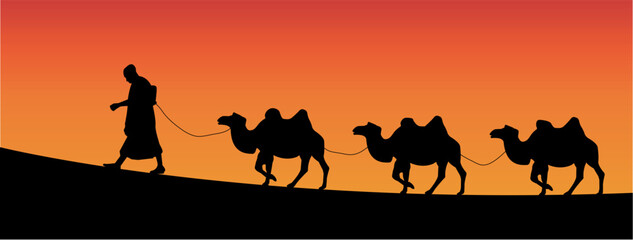 Fototapeta na wymiar vector silhouette of camels