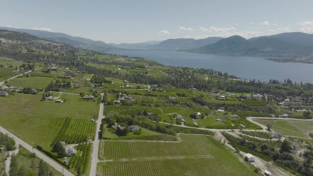 A multitude of vineyards adorn the coast of Okanagan Lake BC