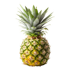 pineapple isolated on transparent background cutout