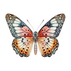 Fototapeta na wymiar butterfly isolated on transparent background cutout