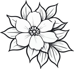 black and white flower isolated